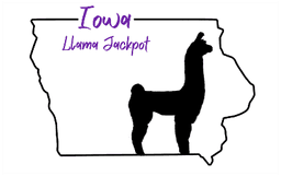 Iowa Llama Jackpot